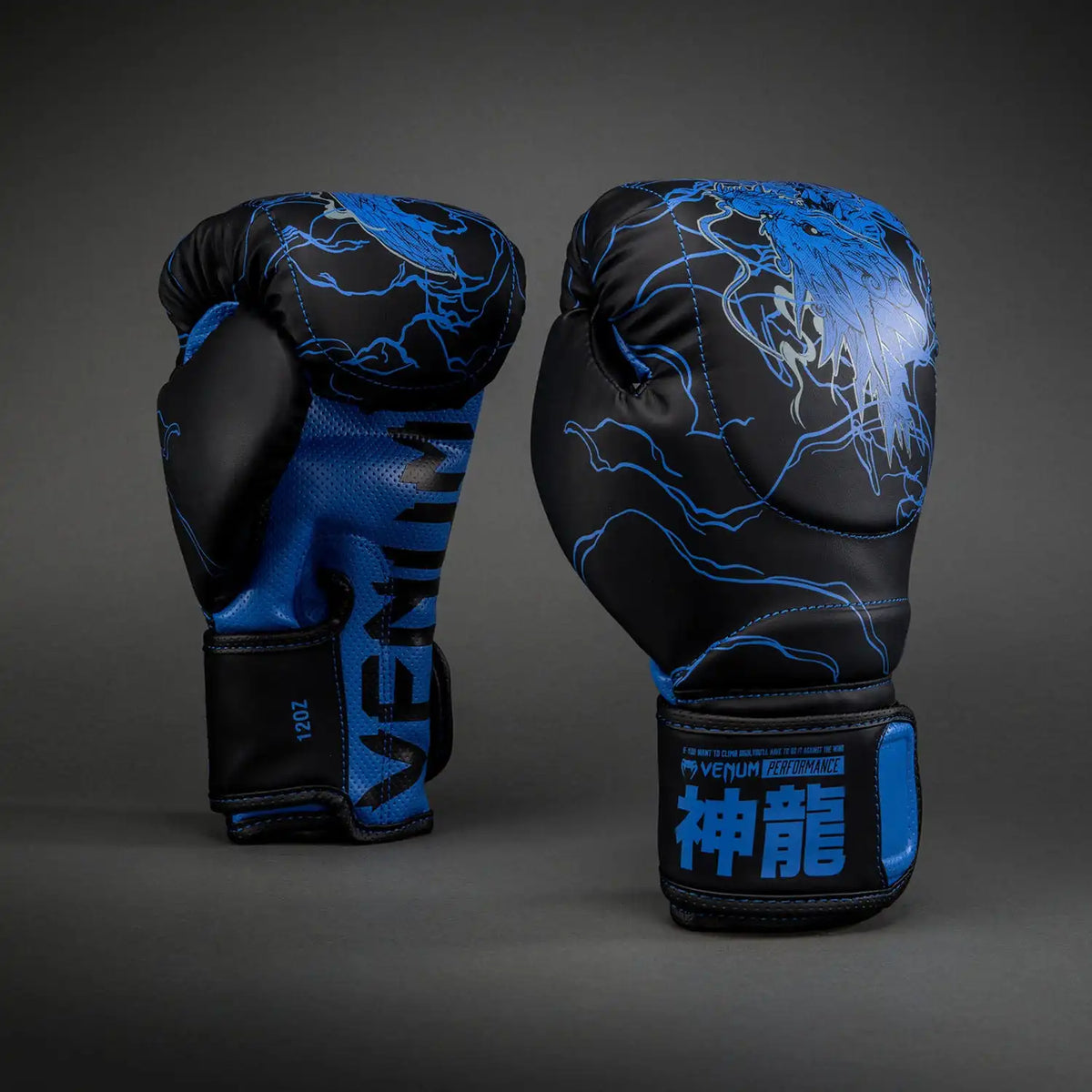Venum Thunder Dragon Boxing Gloves - Black/Royal Blue