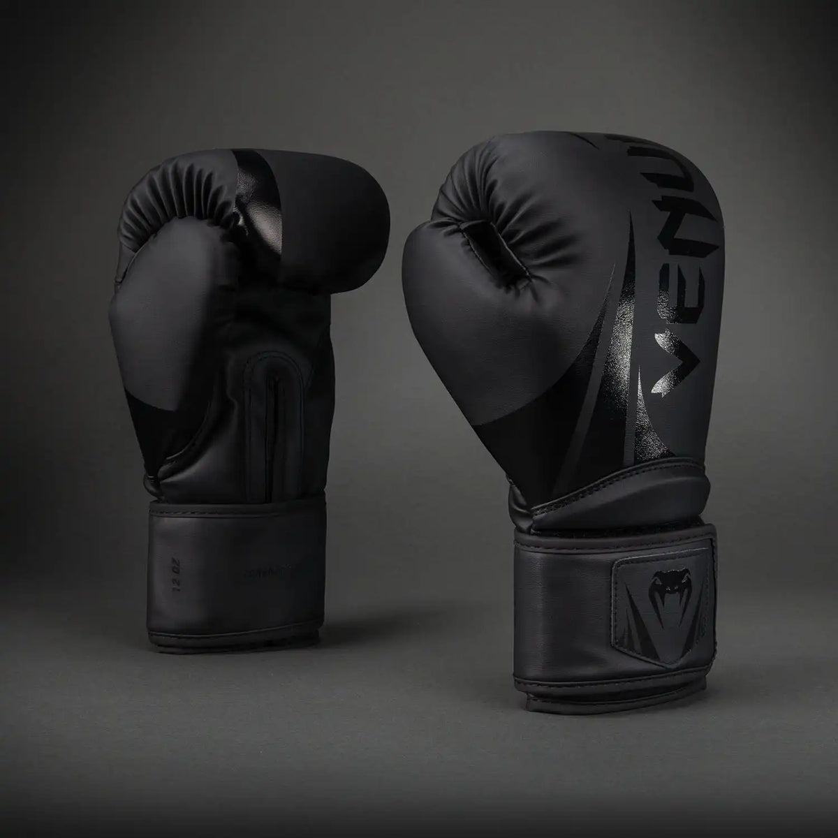 Venum Challenger 2.5 Boxing Gloves – Black/Black